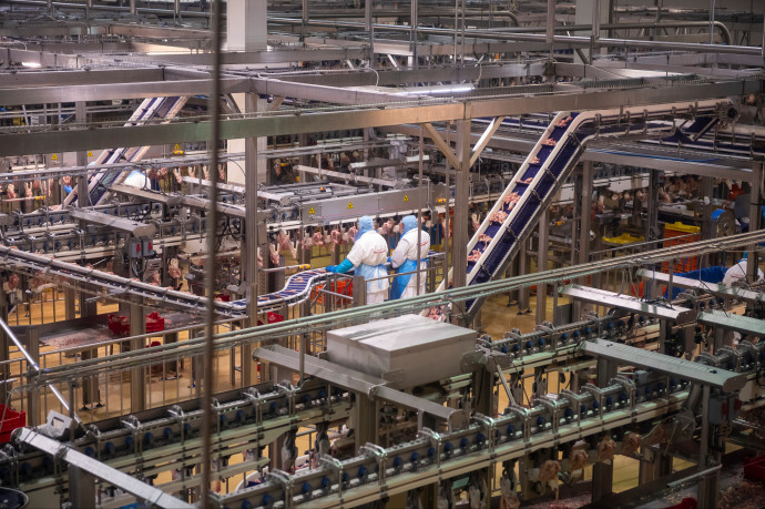 Az infláció miatt borúsnak látják a jövőt a nagyvállalatok egy kutatás szerint