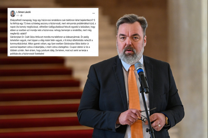 Eltűnt L. Simon László nagy vihart kavart háziorvosos Facebook-bejegyzése