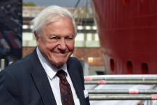 David Attenborough-t a Föld bajnoka címmel tüntette ki az ENSZ
