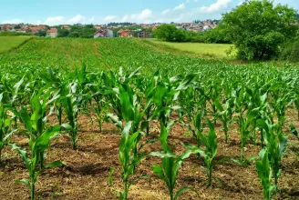 Az EU-ban is bevezethetik a Carbon Farmingot, a kisgazdák viszont ellenzik a zöldnek tűnő kezdeményezést
