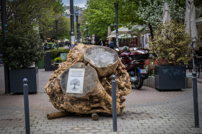 Kisuvickolt fagyökér lett az új köztéri szobor a II. kerületben
