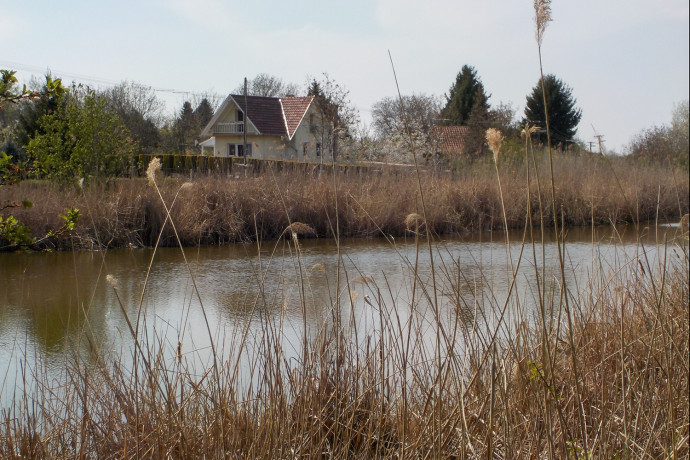 Életre keltik a negyven éve halott, szennyezett, bűzös Tisza-holtágat Szegeden