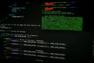Román állampolgár is segítette a KillNet hackereit feltörni a kormányzati oldalakat