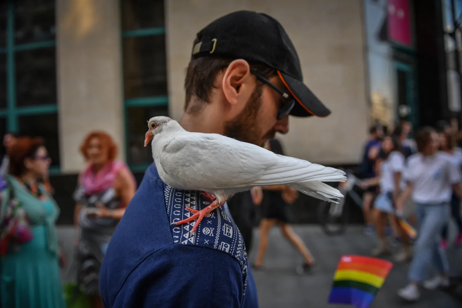 Romániának el kell utasítania a magyarországi mintájú LMBTQ-ellenes törvényjavaslatot – mondják a jogvédő szervezetek