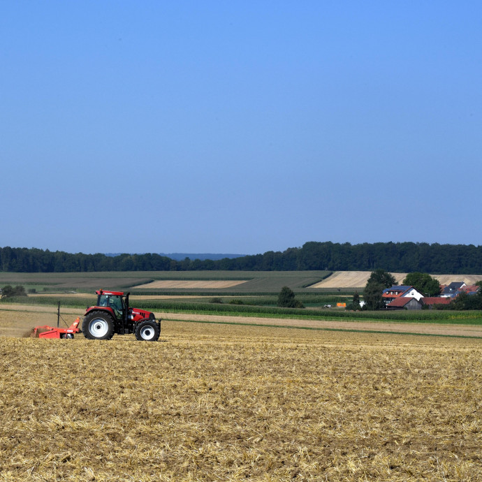 Kockázatos, de nagy nyereséggel kecsegtető év jöhet a magyar agráriumban