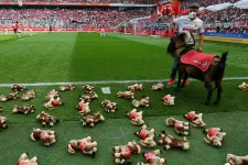 A gyepre fektetett plüsskecskékkel tisztelgett a háborúban meghalt gyerekek előtt az FC Köln