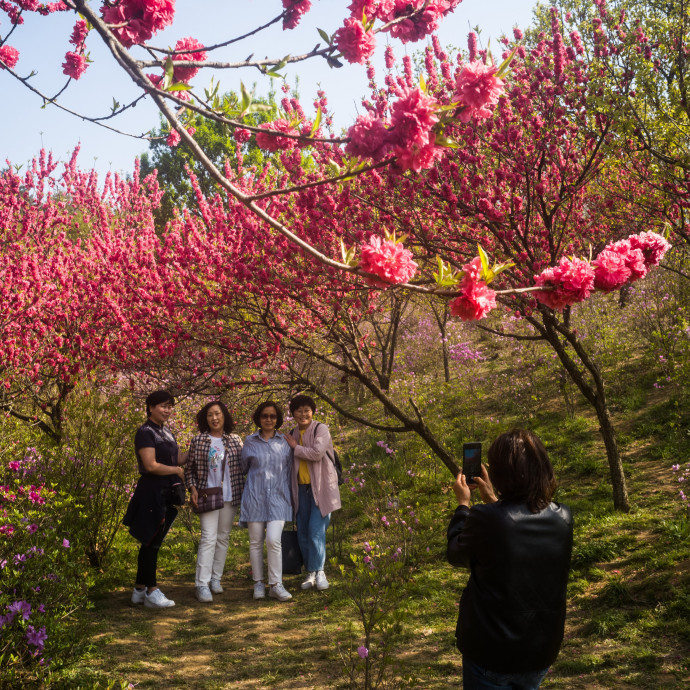 A városok zöldítése az emberek mentális egészsége miatt is fontos