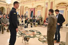 Kitüntették és háborús hőssé avatták Patront, az ukrán bombakereső kutyát