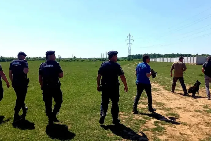 Nem tudni, valóban oroszlán sétált-e Târgoviştén, mindenesetre felhagytak a keresésével