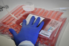 Életeket menthetnek, mégis több évet kell várniuk a magyar betegeknek az új gyógyszerekre