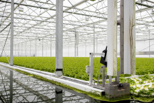 Négy éven belül betiltanák az új gázkazánok beszerzését Hollandiában