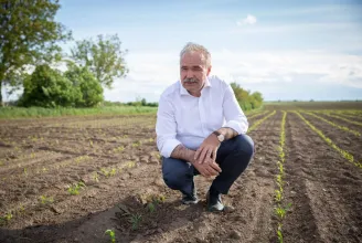 Nagy István agrárminiszter: Vészhelyzet van, segíteni kell az ukrán gabona exportját