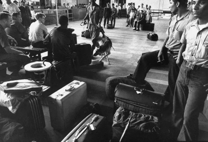 Kábítószer-kereső rendőrkutyával vizsgálják át amerikai katonák poggyászait egy vietnámi reptéren 1969-ben – Fotó: Dick Swanson / Getty Images