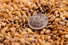 Kreml: Oroszország kész megkönnyíteni az ukrán gabona exportját