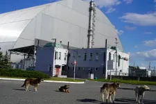 Az ukránok szerint az oroszok ürüléket és 100 liter minőségi vodkát hagytak maguk után Csernobilban