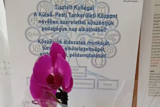 Egy darab cserepes virágot kapott pedagógusnapra egy 70 fős tantestület