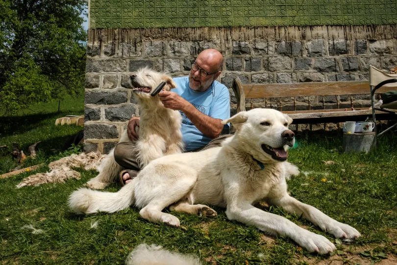 David a kutyáival és a buddhista imasarok, amelyet David is, T.J. is használ – Fotók: Márkos Tamás/Transtelex