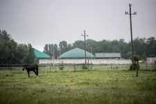 A szarszag egységbe kovácsol, nem számít, ki melyik pártra szavaz