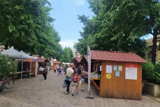 Nehezebb felkészülés, több tárgyi tudás, jobb helyesírás kell majd a 2024-es magyarérettségihez