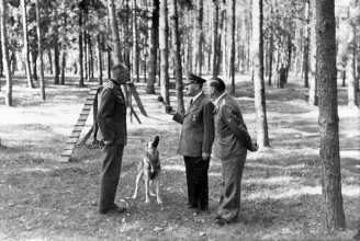 Adolf Hitler 119 napot töltött luxusbunkerében egy ukrajnai erdő mélyén