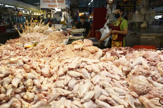 Egy thaiföldi kutatás szerint jobb a húsa a kenderlevéllel etetett csirkéknek