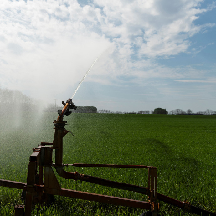 Itthon is beindult a zöldhitelezés, de milyen cégeknek érdemes ilyesmiben gondolni?
