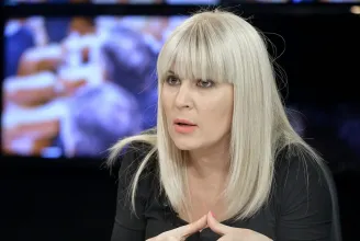 Az EJEB elutasította az Elena Udrea elleni európai elfogatóparancs felfüggesztését