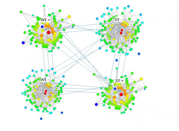 Illusztratív hálózattípusok az európai átigazolási piacon