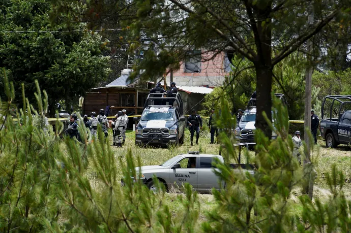 Egy golyóálló mellénybe öltöztetett majom is meghalt egy mexikói lövöldözésben