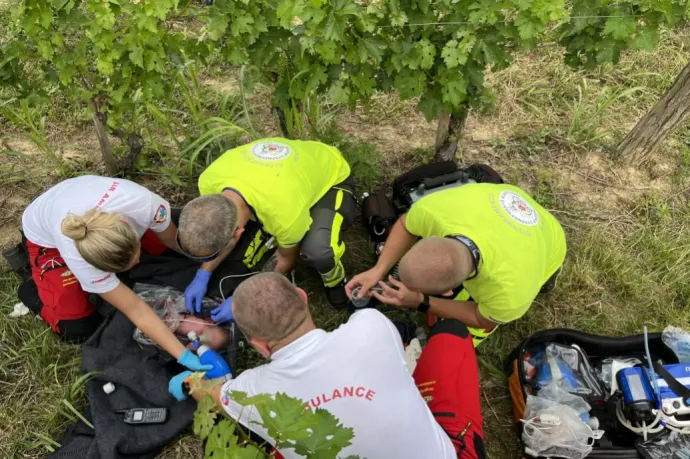 Átadták a magyar rendőrségnek azt a horvátországi nőt, aki magára hagyta újszülött csecsemőjét