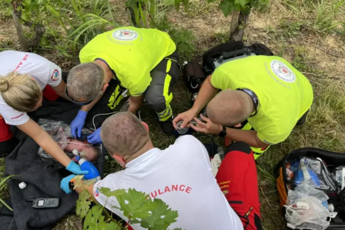 Mezőgazdasági munkásként dolgozott Magyarországon a horvát nő, aki hagyta meghalni újszülöttjét