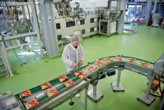 Az Unilever megszünteti a gyártást a röszkei üzemében