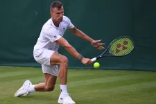 Fucsovics Márton kiesett a Wimbledon első fordulóján