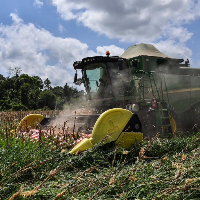 Vannak jó hírek is az élelmiszerárakkal kapcsolatban