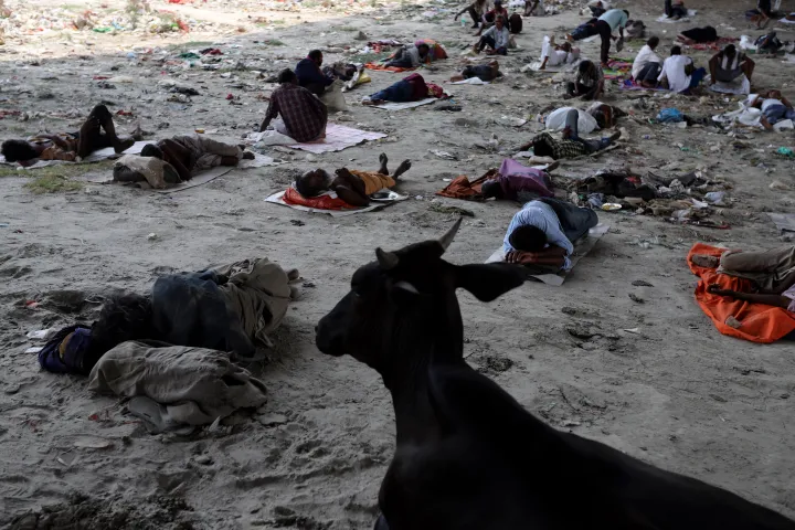 Az indiai hőhullám és szárazság embert és állatot egyaránt sújt. Fotó: Amarjeet Kumar Singh / AFP via Anadolu Agency