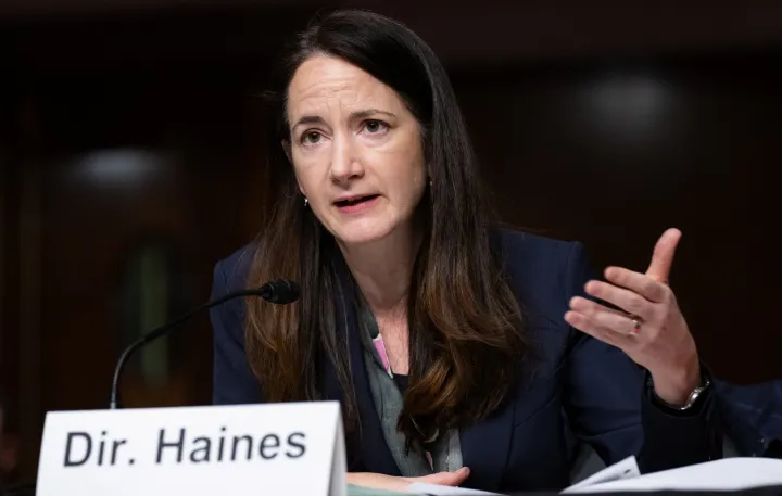 Avril Haines amerikai hírszerzési igazgató egy szenátusi meghallgatáson Washingtonban 2022. május 10-én – Fotó: Saul Loeb / AFP