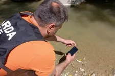 A víz szennyeződése miatt tömeges halpusztulás történt a Suceava folyó egy szakaszán