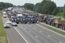 Traktoros blokádba kezdtek a holland gazdák