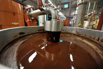 Magyar beszállító terméke okozta a szalmonellafertőzést a világ legnagyobb csokoládégyárában