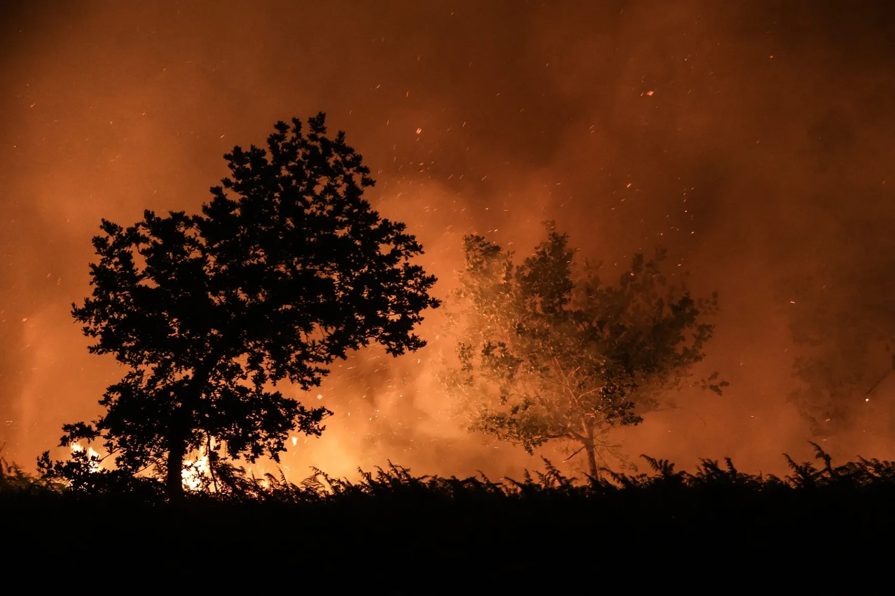 Óriási erdőtüzek vannak Franciaországban és Portugáliában a hőhullám miatt