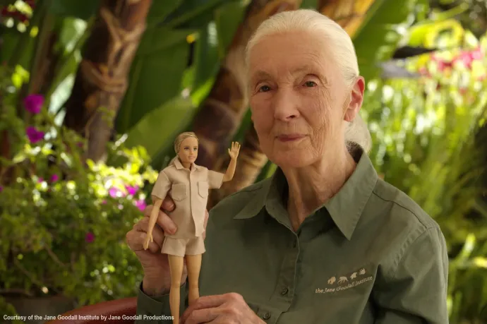 Barbie babát kap Jane Goodall világhírű etológus, környezetvédő