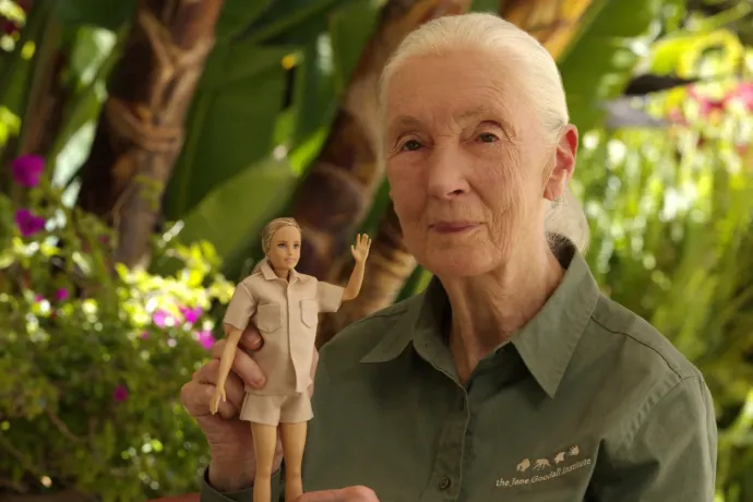 Barbie babát kap Jane Goodall világhírű etológus, környezetvédő