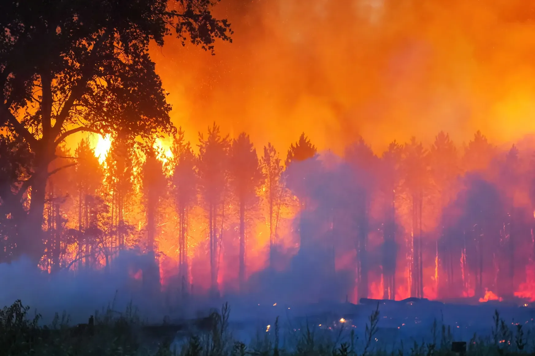 Szerda este óta oltják a tüzet a Soltszentimre-közeli erdőben