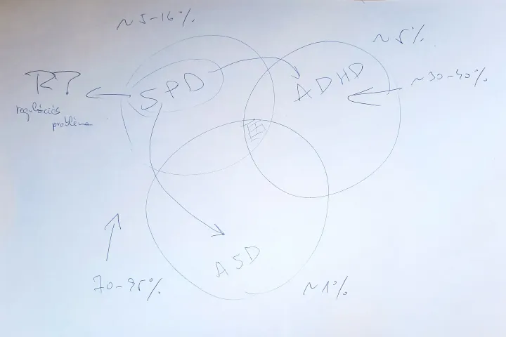Dr. Büki György szemléltető skicce a beszélgetés közben. A bal felső sarokban a „regulációs probléma” felirat az interjú szerzőjének kiegészítése