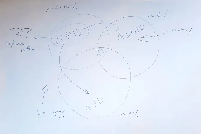 Dr. Büki György szemléltető skicce a beszélgetés közben. A bal felső sarokban a „regulációs probléma” felirat az interjú szerzőjének kiegészítése