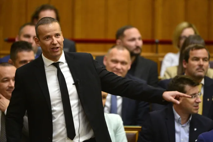 A spórolás és a hagyományőrzés miatt szavazta meg a Mi Hazánk is az Alaptörvény módosítását