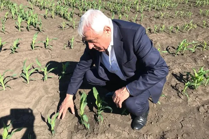 Kihallgatja a DNA Petre Daea mezőgazdasági minisztert