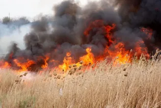 Egy nap alatt 174 vegetációtűzhöz riasztották a tűzoltókat