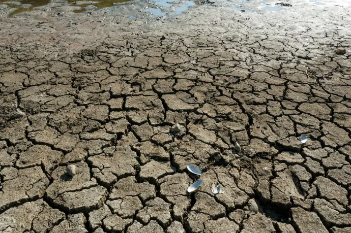 Aszály: az Agrárminisztérium a gazdák lehetőségeire figyelmeztet