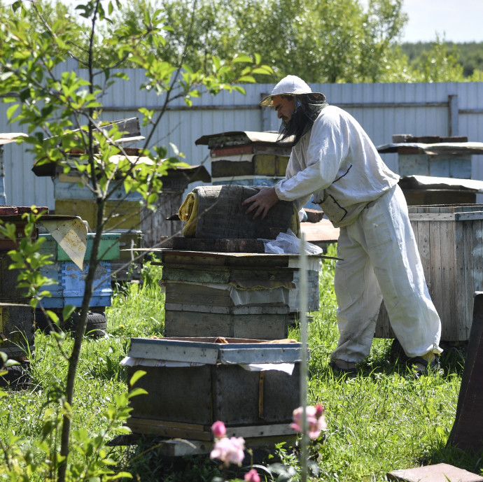 Újjáélesztik az orosz háztáji gazdálkodást a szankciók